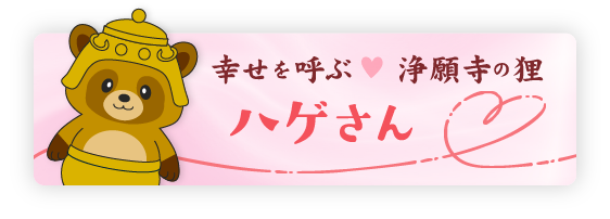 幸せをよぶ本願寺の狸　ハゲさん